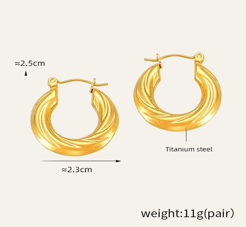 Twisted Hoop Earrings