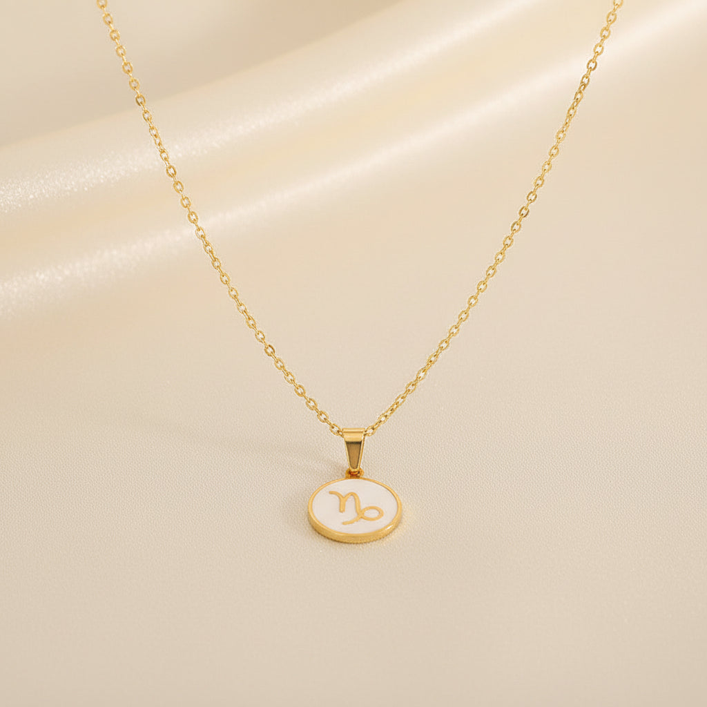 Capricorn Zodiac Coin Necklace