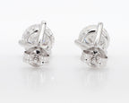 2.50 cttw  14k White Gold Round 3 Promg Martini Studs