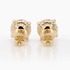 6.05 cttw 14k Yellow Gold Round 4 Prong Basket  Studs